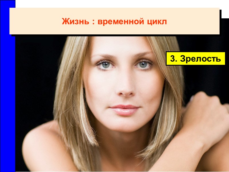 3. Зрелость Жизнь : временной цикл